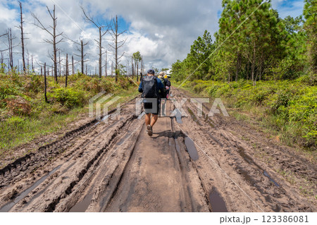Hiking in forest at national park, Loei Province Thailand. 123386081