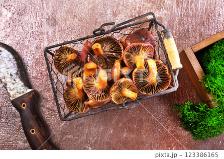 The Slimy Spike (Gomphidius glutinosus) is an edible mushroom 123386165