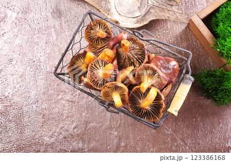 The Slimy Spike (Gomphidius glutinosus) is an edible mushroom 123386168