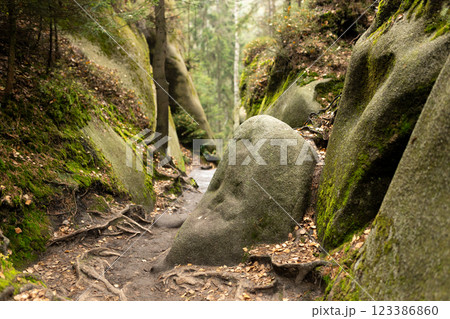 Rock city in Adrspach, Czech Republic. Texture of sandstone, The National park Adrspach Teplice rocks. High quality photo. Nature background 123386860