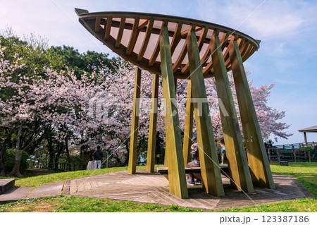 Wood boat landmark by pink sakura in spring, Nishi park, Fukuoka 123387186