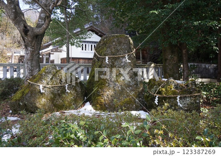 国家「君が代」に歌われた「細石（さざれ石）」 123387269