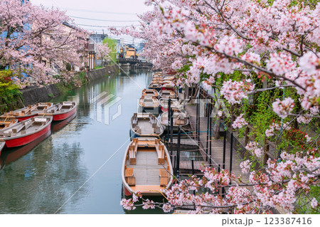 Top view landmark of boats on Suigo river and sakura, Yanagawa 123387416