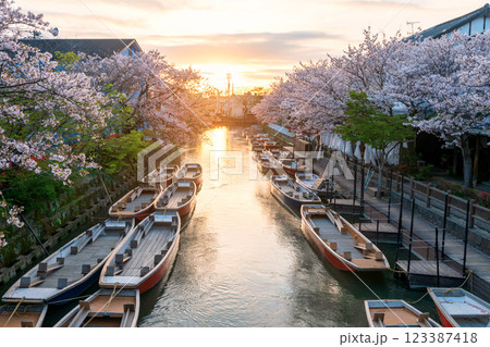 Suigo river with tourist boats and sakura tunnel at sunset, Yanagawa Suigo river with tourist boats and sakura tunnel at sunset, Yanagawa 123387418