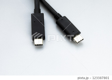 白背景の2本のusb-cケーブルのあるイメージ風景 123387801