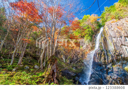 大倉滝・森林公園おおくら滝《岐阜県・清見町》 大倉滝・森林公園おおくら滝《岐阜県・清見町》 123388608