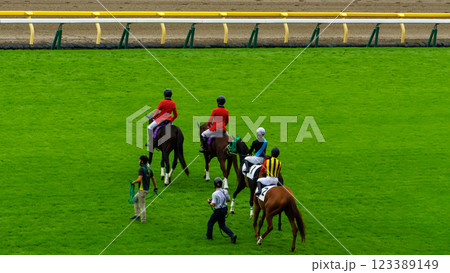 東京競馬場　馬場入場 123389149