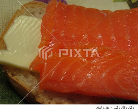 Salmon Dish with Tableware and Ingredients Salmon Dish with Tableware and Ingredients 123389328