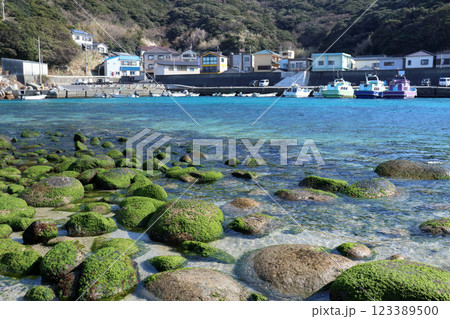 柏島 冬の景観 (高知県 大月町) 柏島 冬の景観 (高知県 大月町) 123389500
