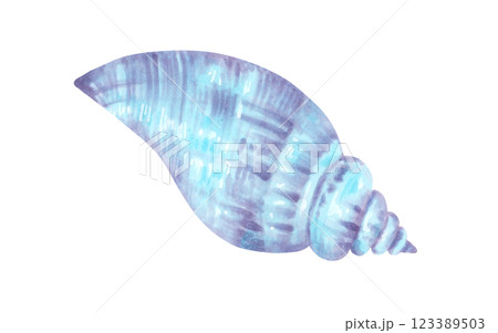 Sea shell. Watercolor and marker illustration. Bivalves sketch. Hand drawn isolated art. Wild underwater life. Ocean snail. Shell for menu design, baby bath, swimsuit. Exotic marine fauna 123389503