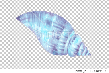 Sea shell. Watercolor and marker illustration. Bivalves sketch. Hand drawn isolated art. Wild underwater life. Ocean snail. Shell for menu design, baby bath, swimsuit. Exotic marine fauna 123389503