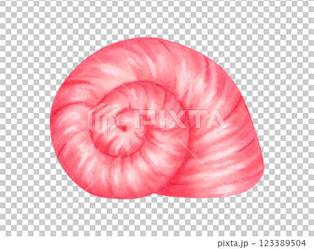 Spiral shell. Watercolor and marker illustration. Bivalves sketch. Hand drawn isolated art. Wild underwater life. Ocean snail. Exotic marine fauna. Shell for menu design, baby bath, swimsuit 123389504