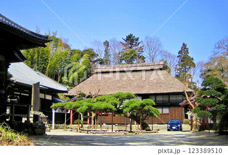 春の専称寺の梅 2006 春の専称寺の梅 2006 123389510