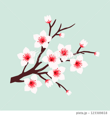 Cherry Blossom Branch Cherry Blossom Branch 123389818