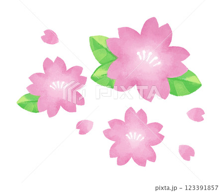 桜（線無し） 123391857