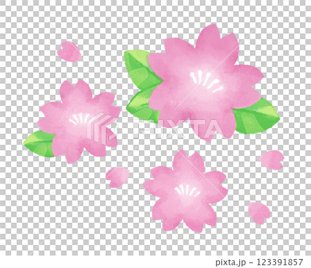 桜（線無し） 123391857