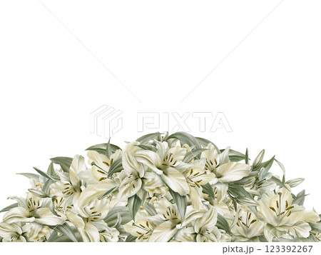 White lilies in semicircular template in watercolor floral frame isolated on transparent background.Hand drawn clipart sage leaf colors.For wedding invitations,baptism,birthday,funeral White lilies in semicircular template in watercolor floral frame isolated on transparent background.Hand drawn clipart sage leaf colors.For wedding invitations,baptism,birthday,funeral 123392267