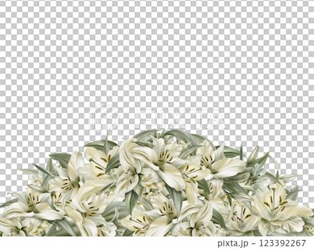 White lilies in semicircular template in watercolor floral frame isolated on transparent background.Hand drawn clipart sage leaf colors.For wedding invitations,baptism,birthday,funeral White lilies in semicircular template in watercolor floral frame isolated on transparent background.Hand drawn clipart sage leaf colors.For wedding invitations,baptism,birthday,funeral 123392267