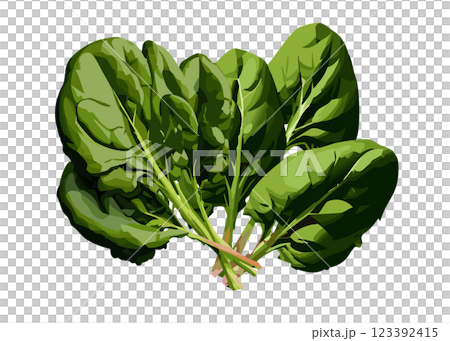 Spinach realistic illustration material set (AI generated, transparent PNG) 123392415