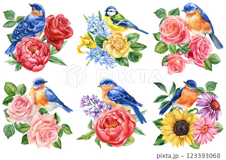 Watercolor birds and flowers botanical illustration, hand-painted songbirds with blooming roses, peonies lilacs on white Watercolor birds and flowers botanical illustration, hand-painted songbirds with blooming roses, peonies lilacs on white 123393068