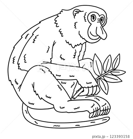 Proboscis Monkey Animal Isolated Coloring Page  123393158
