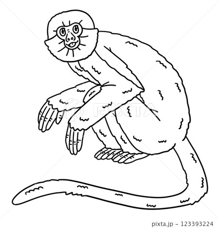 Red Colobus Monkey Animal Isolated Coloring Page Red Colobus Monkey Animal Isolated Coloring Page 123393224