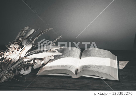 差し込む光とおしゃれな洋書とドライフラワー 123393276