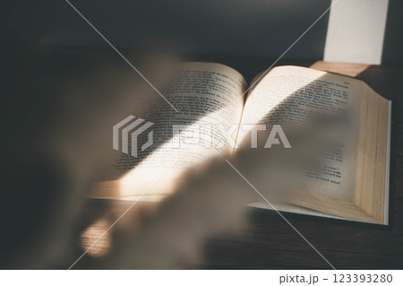 差し込む光とおしゃれな洋書とドライフラワー 差し込む光とおしゃれな洋書とドライフラワー 123393280