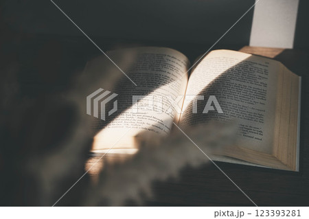 差し込む光とおしゃれな洋書とドライフラワー 123393281