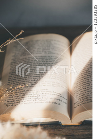 差し込む光とおしゃれな洋書とドライフラワー 差し込む光とおしゃれな洋書とドライフラワー 123393285