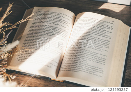 差し込む光とおしゃれな洋書とドライフラワー 差し込む光とおしゃれな洋書とドライフラワー 123393287