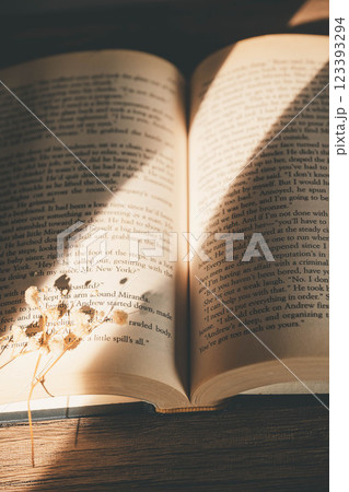 差し込む光とおしゃれな洋書とドライフラワー 123393294