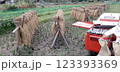 ハーベスターという農機で稲を脱穀します 123393369