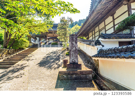 出石　初夏の沢庵寺宗鏡寺の寺標と山門　兵庫県豊岡市 123393586