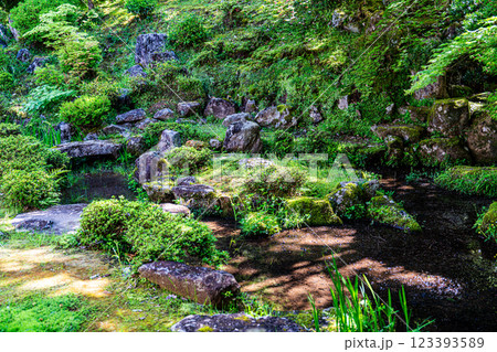 出石　初夏の沢庵寺宗鏡寺　鶴亀の庭4　兵庫県豊岡市 123393589