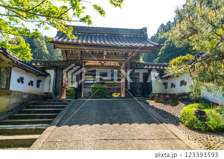 出石 初夏の沢庵寺宗鏡寺の山門 兵庫県豊岡市 出石 初夏の沢庵寺宗鏡寺の山門 兵庫県豊岡市 123393593