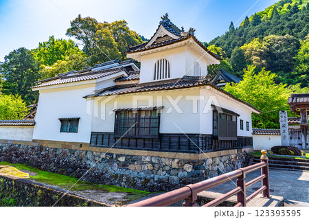 出石 経王寺の鼓楼の初夏の風景 兵庫県豊岡市 出石 経王寺の鼓楼の初夏の風景 兵庫県豊岡市 123393595