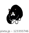上を向いて座る白黒の猫の全身イラスト 123393746