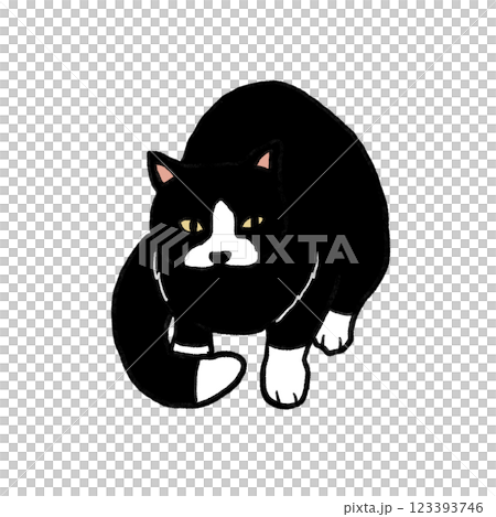 Full-body illustration of a black and white cat sitting facing up Full-body illustration of a black and white cat sitting facing up 123393746