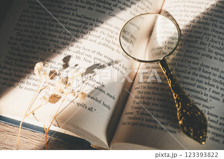 洋書に窓辺から差し込む光とルーペとドライフラワー 123393822