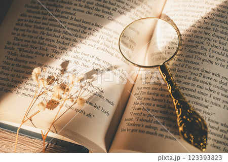洋書に窓辺から差し込む光とルーペとドライフラワー 洋書に窓辺から差し込む光とルーペとドライフラワー 123393823