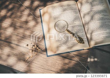 洋書に窓辺から差し込む光とルーペとドライフラワー 123393871