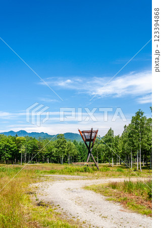 飛騨高山　日和田高原の夏の風景　7月	 123394868