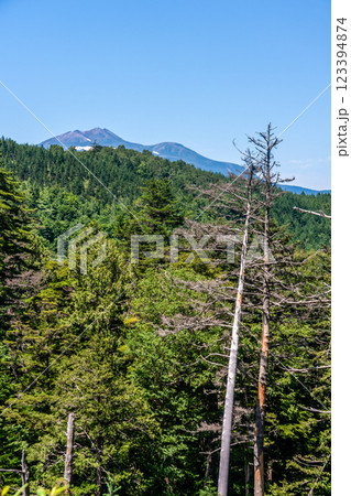 飛騨高山　日和田高原の夏の風景　7月	 123394874