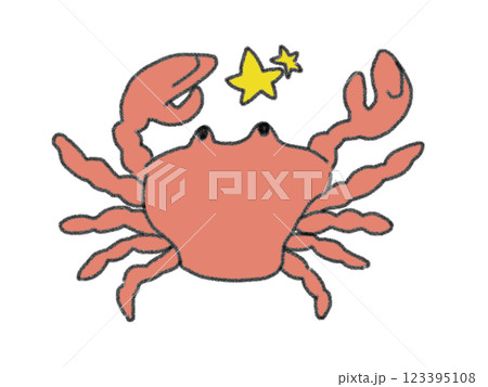 鉛筆画風の星座のイラスト 123395108