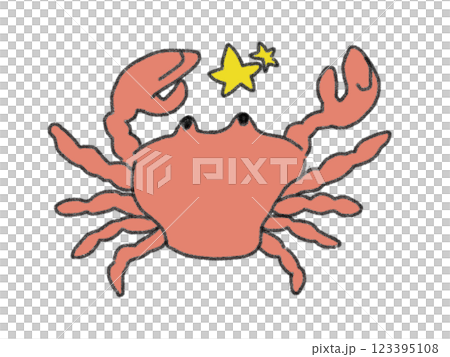鉛筆画風の星座のイラスト 123395108