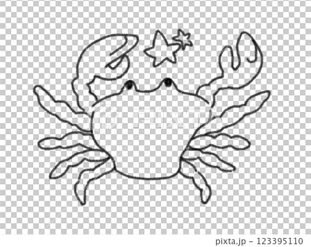 鉛筆画風の星座のイラスト 123395110