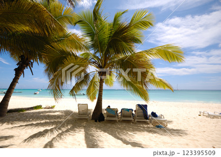 Exotic beach. The Dominican Republic, Saona Island Exotic beach. The Dominican Republic, Saona Island 123395509