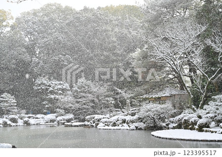 神苑の池と吹雪の絶景（平安神宮） 123395517