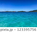 南国の青い海　快晴 123395756